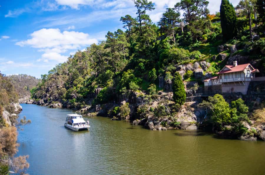 Launceston: 4-Hour Batman Bridge Luncheon Cruise - Under Batman Bridge and through Whirlpool Reach