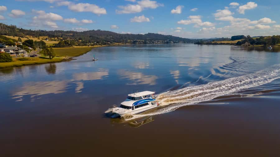 Launceston: 4-Hour Batman Bridge Luncheon Cruise - Morning tea, lunch, cheese, and Tasmanian drinks