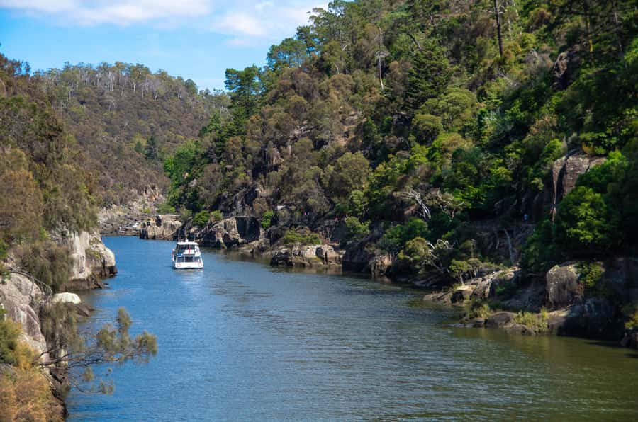 Launceston: 4-Hour Batman Bridge Luncheon Cruise - Timing, meeting point, and value at $126