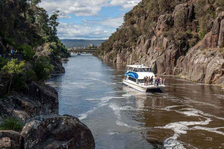 Launceston: 4-Hour Batman Bridge Luncheon Cruise - Who should book this Tamar River cruise