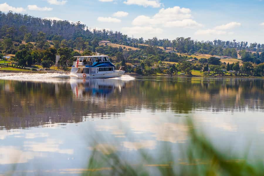Launceston: 4-Hour Batman Bridge Luncheon Cruise - What makes the Tamar Valley worth seeing by boat
