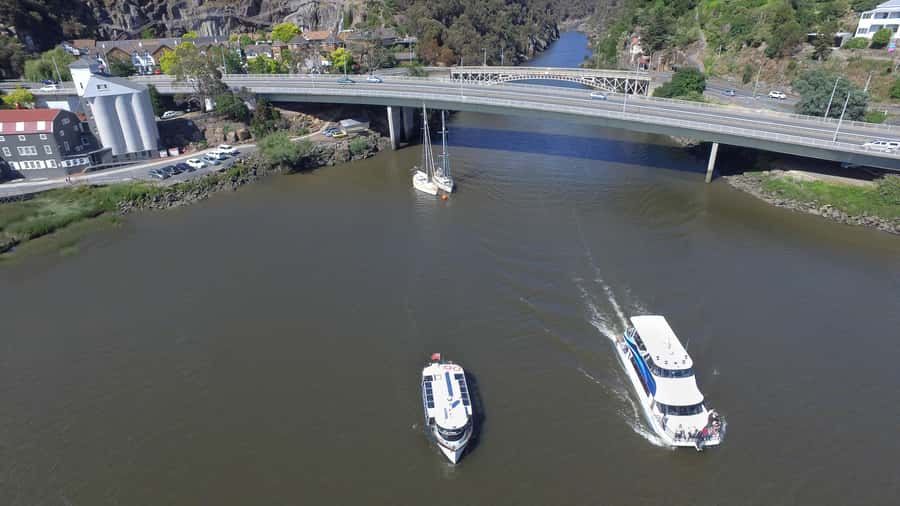 Launceston: 50-Minute Cataract Gorge Cruise - Key points to know before you book