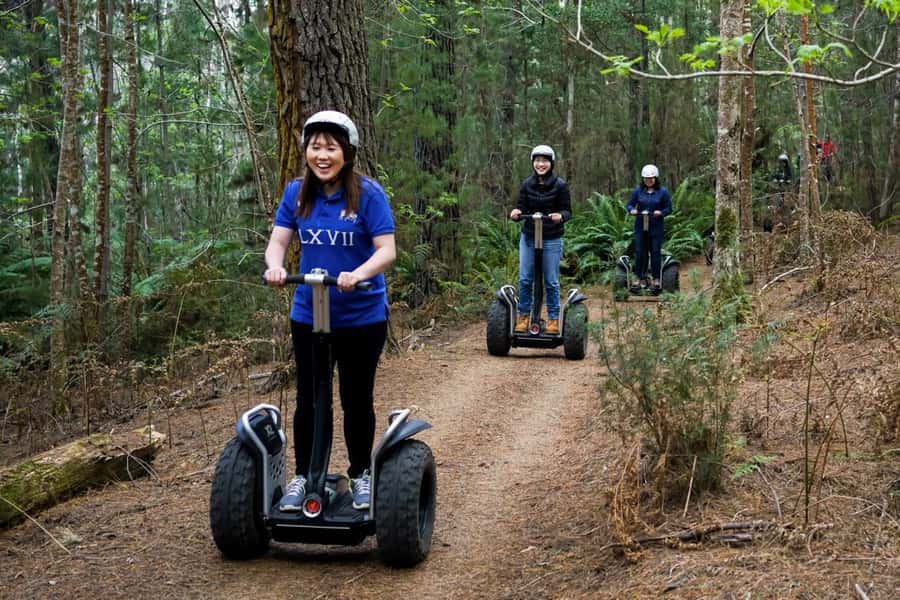 Launceston: Hollybank Forest Guided Segway Tour with Photos - A forest ride close to Launceston