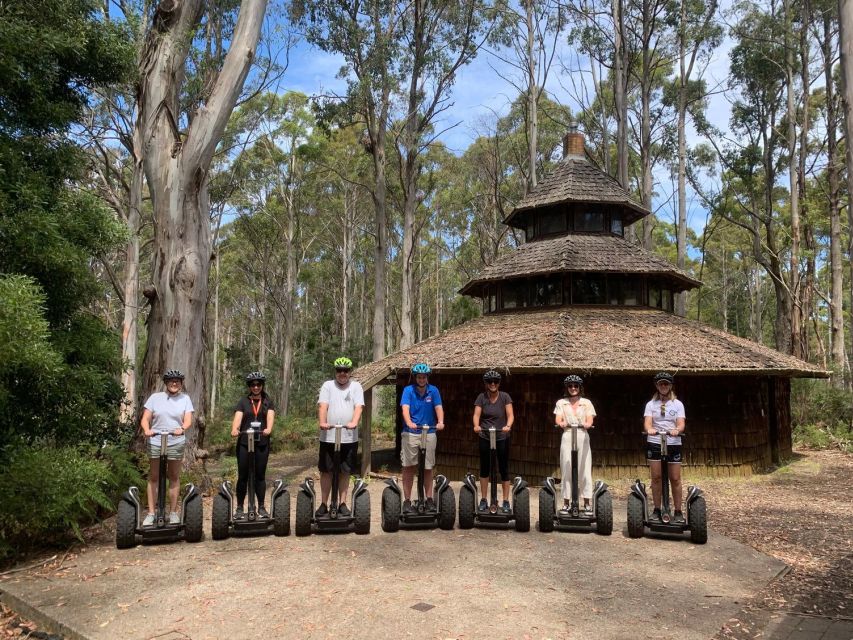Launceston: Hollybank Forest Guided Segway Tour with Photos - Is $77 a fair price?