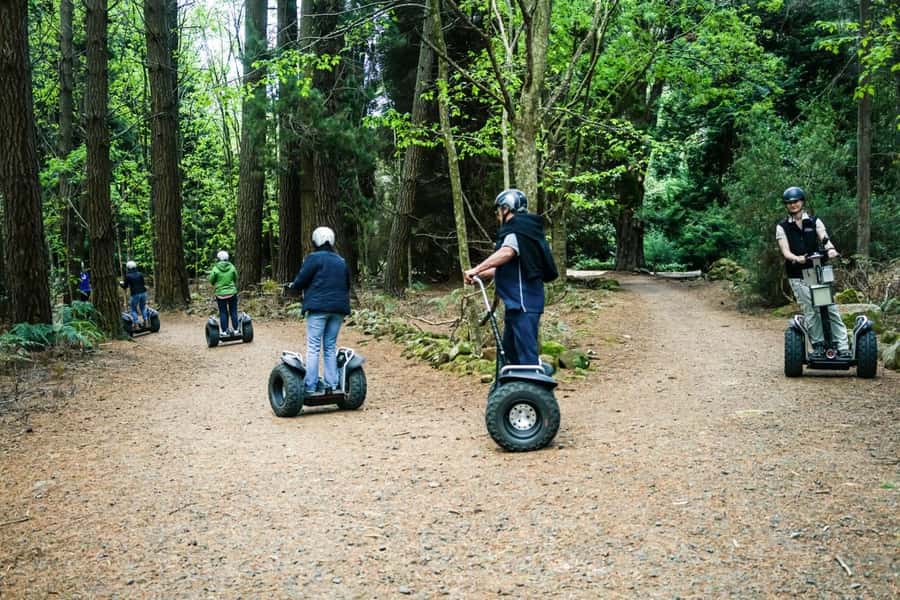Launceston: Hollybank Forest Guided Segway Tour with Photos - Getting comfortable on the Segway