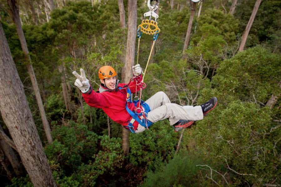 Launceston: Hollybank Forest Treetop Zip Lining with Guide - Guides who make the height manageable