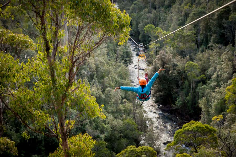 Launceston: Hollybank Forest Treetop Zip Lining with Guide - What the view is like from 50 metres up