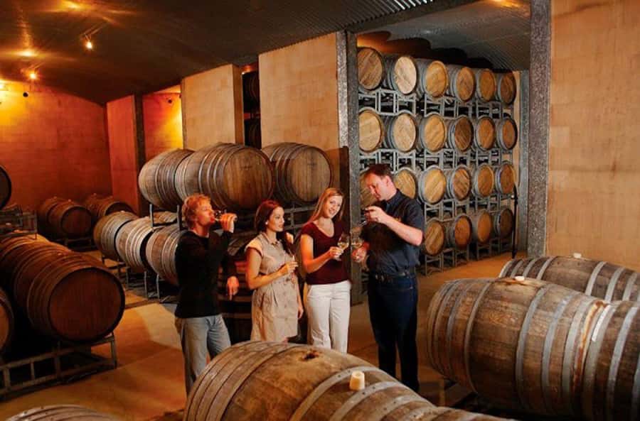 Launceston: Tamar Valley Wine Tour with Lunch - Why the Tamar Valley makes a good wine day from Launceston