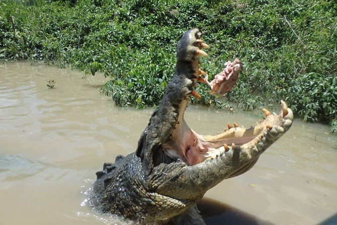 Litchfield and Jumping Crocodiles Full Day Trip from Darwin - Is the $190.07 price fair?
