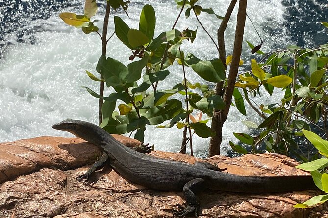 Litchfield & Berry Springs VIP Adventure Day Tours (group of 11) - Who should book this adventure?