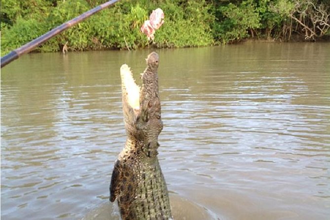 Litchfield National Park and Jumping Crocodile Cruise - Is the small-group format worth it?