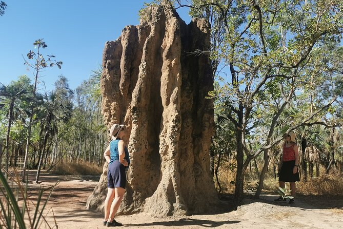 Litchfield National Park Day Tour & Berry Springs, Max 11 Guests - Florence Falls starts the water theme