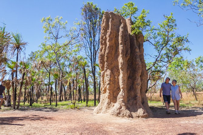 Litchfield National Park Day Tour from Darwin - Lunch, transport, and the value of $154.21