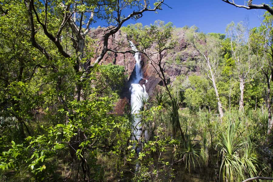 Litchfield National Park: Full-Day & Lunch from Darwin - Lunch, coach comfort, and the rhythm of the day