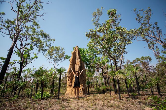 Litchfield National Park Tour with Wetlands or Crocodile Cruise - Florence Falls puts water at the center of the day