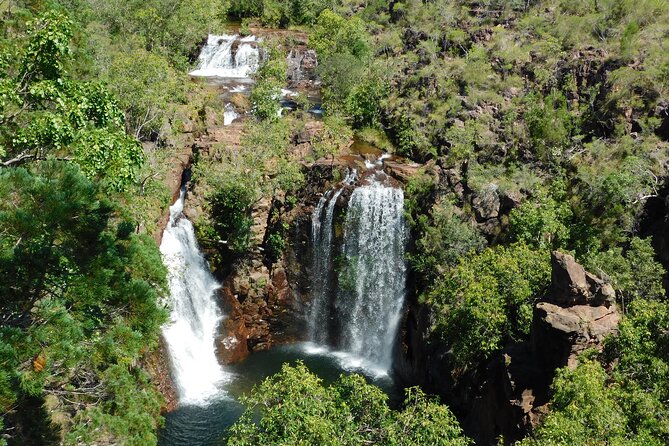 Litchfield Park & Jumping Crocodile Cruise - Cycad forest and Tolmer Falls