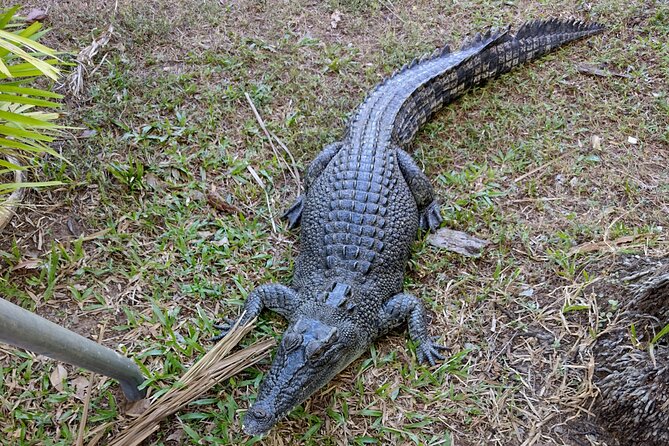 Litchfield Park & Jumping Crocodile Cruise - Price, group size, and overall value