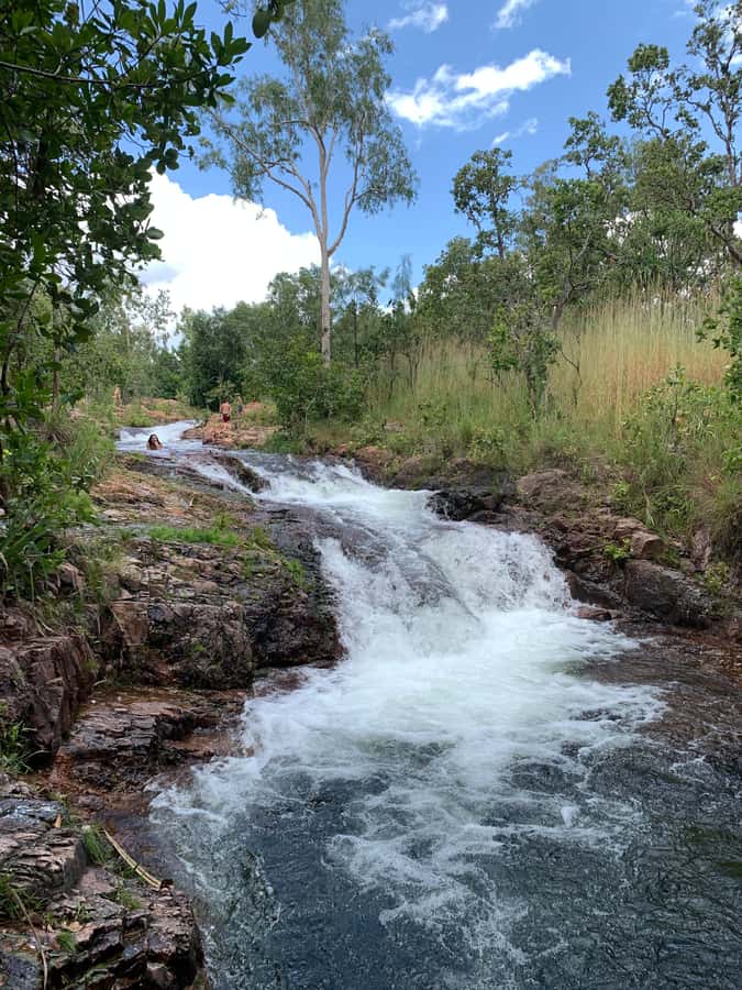 Litchfield VIP Tours, Litchfield National Park, Day Tours, - Food, drinks, and the crocodile wrap