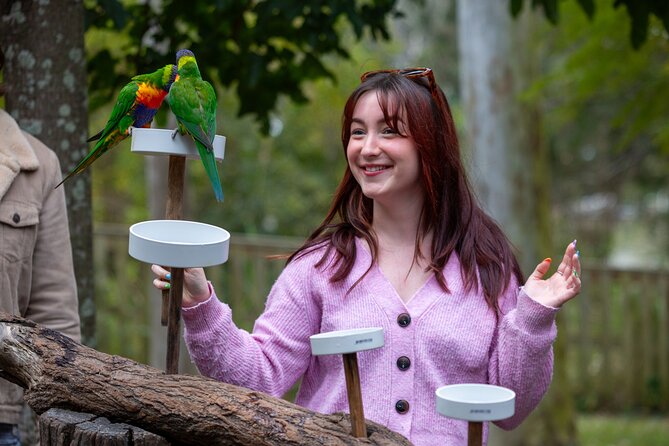 Lone Pine Koala Sanctuary Day Pass - Planning a two-hour visit or a full half-day