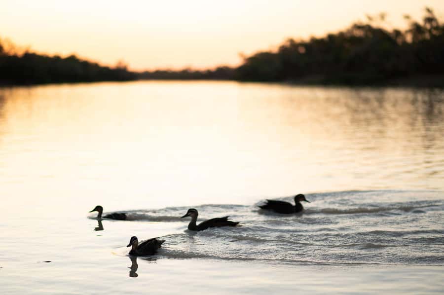 Longreach: Drover's Sunset Cruise & Outback Dinner & Show - Choosing your pickup point in Longreach