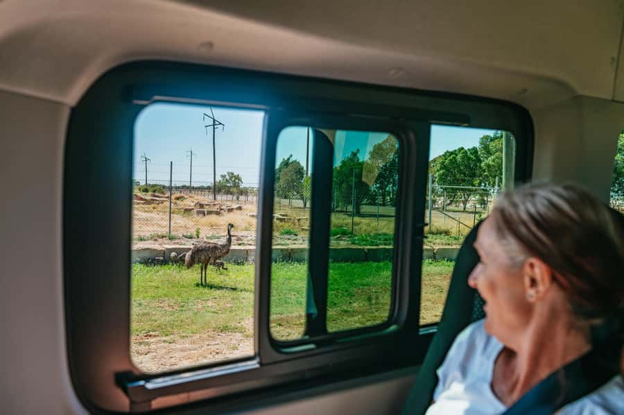 Longreach History and Town Tour - What $17 really buys you