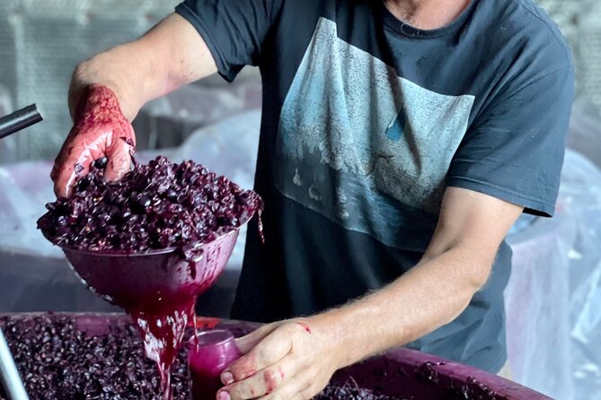Luke's McLaren Vale Wine Tour - What the $89.66 price really covers