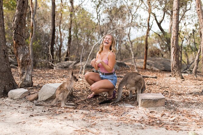 Luxury Hunter Valley Wildlife & Wine Tasting Tour from Sydney - Cheese, olive oil, and chocolate at Fat Cow Hunter Valley