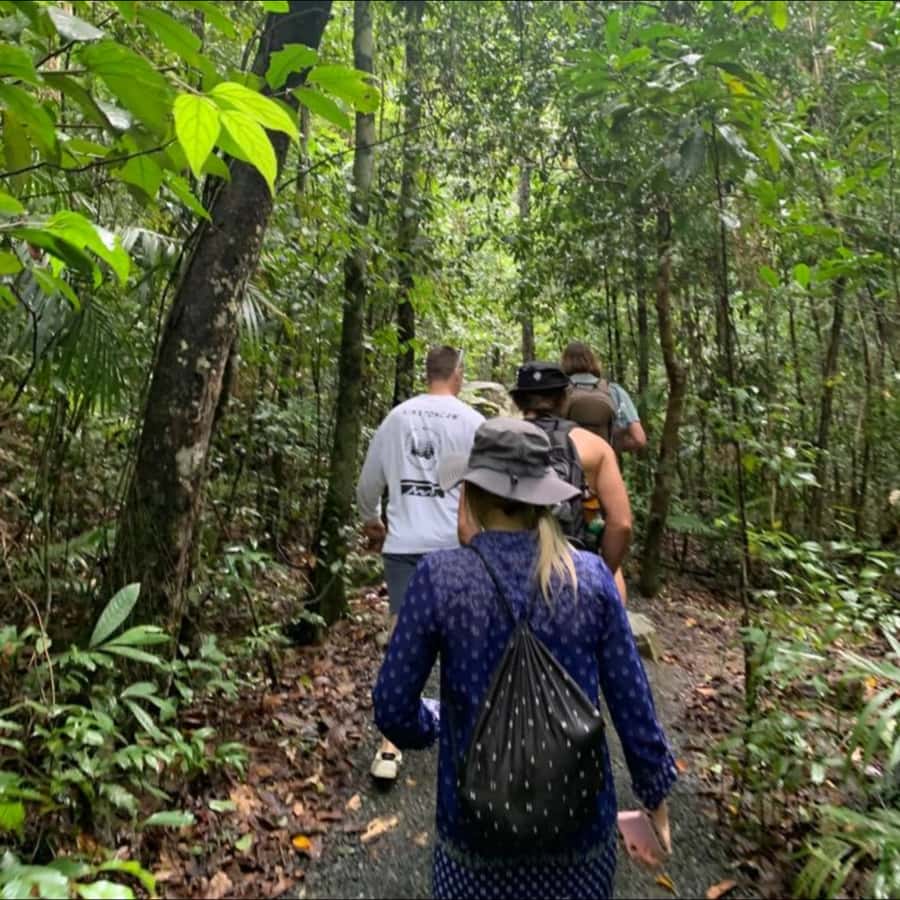Mackay: Finch Hatton Gorge Hike, Swim & Platypus Adventure - A rainforest day west of Mackay