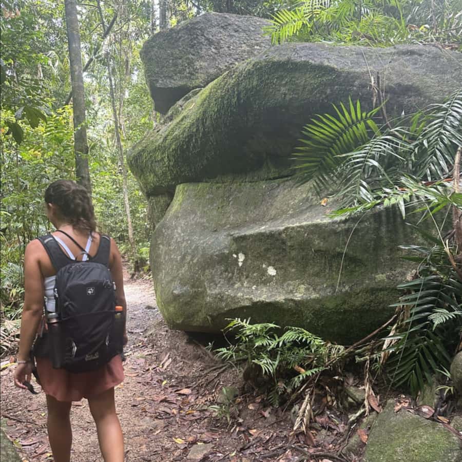 Mackay: Finch Hatton Gorge Hike, Swim & Platypus Adventure - Hiking into Finch Hatton Gorge