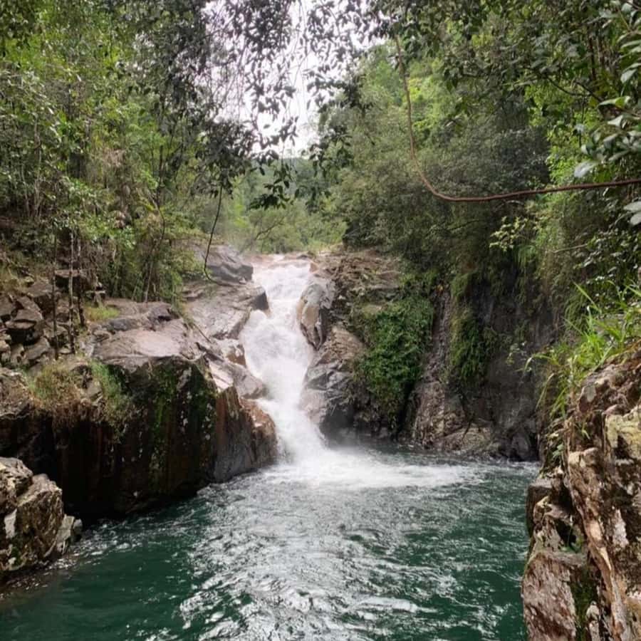 Mackay: Finch Hatton Gorge Hike, Swim & Platypus Adventure - The 70-minute ride through the Pioneer Valley