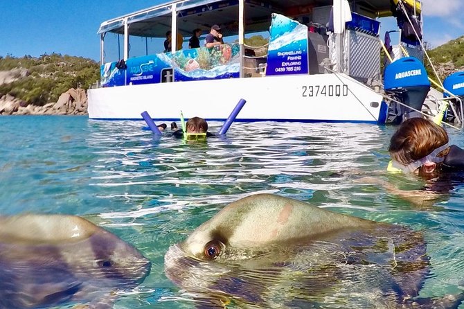 Magnetic Island Discovery Tour with Snorkeling & Paddle Boarding - A five-hour way to see Magnetic Island from the water