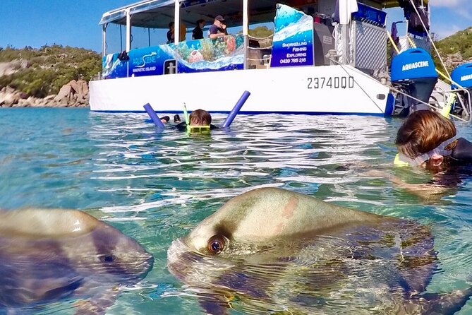Magnetic Island Discovery Tour with Snorkeling & Paddle Boarding - Morning tea on a secluded beach