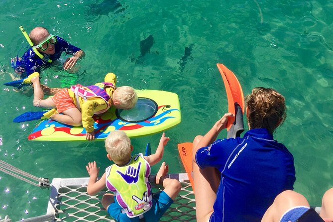 Magnetic Island Discovery Tour with Snorkeling & Paddle Boarding - What the $114.04 price really buys