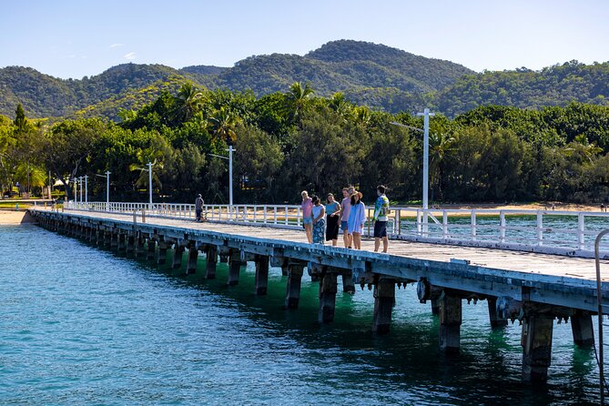 Magnetic Island Tour Behind the Scenes - Nelly Bay starts with wildlife and local art