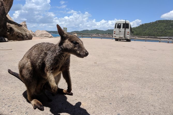 Magnetic Island Tour: Maggie Comprehensive - Starting at Nelly Bay with a local guide