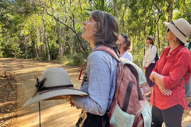 Magnetic Island: West Coast Eco Adventure - From Nelly Bay or Picnic Bay to the west