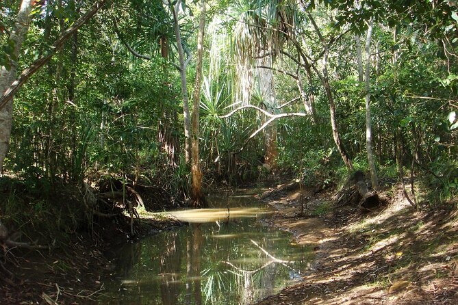 Magnetic Island: West Coast Eco Adventure - Indigenous culture and island history