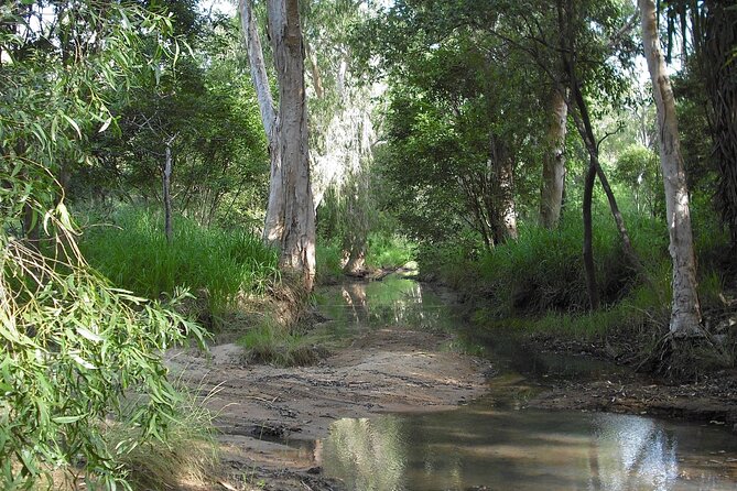 Magnetic Island: West Coast Eco Adventure - World Heritage scenery without a rushed schedule