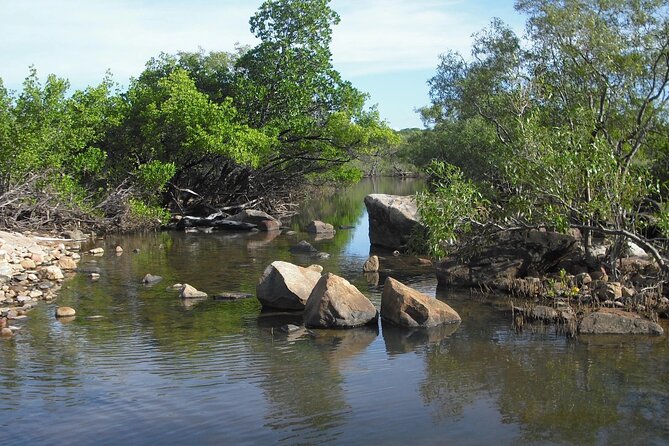 Magnetic Island: West Coast Eco Adventure - Morning tea in a natural setting