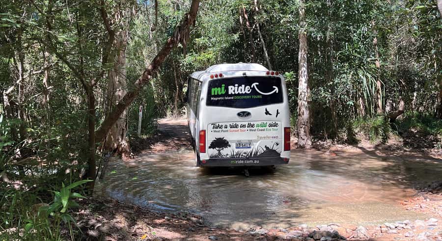 Magnetic Island: West Coast Eco Adventure Bus Tour - Key points at a glance