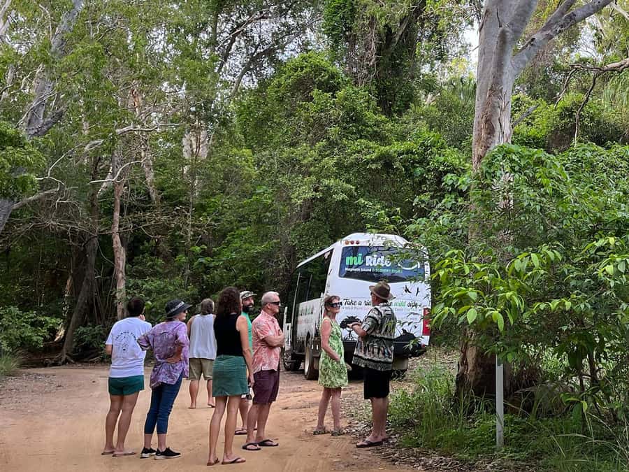 Magnetic Island: West Coast Eco Adventure Bus Tour - Picnic Bay brings the island story into focus