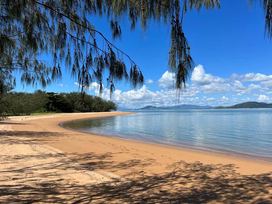 Magnetic Island: West Coast Eco Adventure Bus Tour - A 30-minute pause for coffee, fruit, and local treats