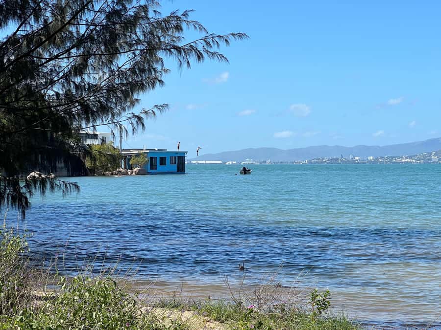 Magnetic Island: West Coast Eco Adventure Bus Tour - The final drive returns you to Nelly Bay