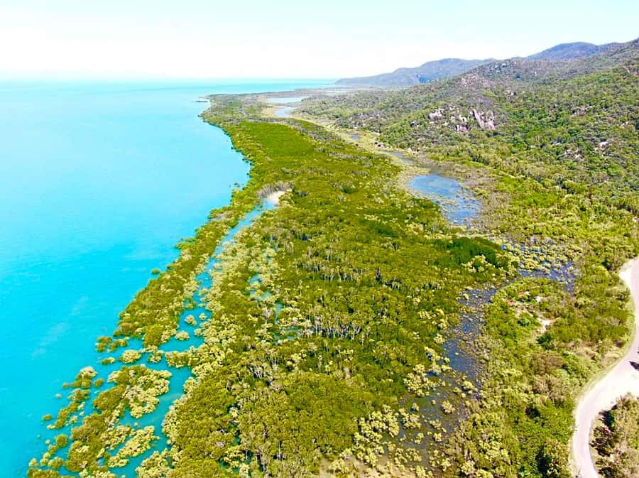 Magnetic Island: West Coast Eco Adventure Bus Tour - Starting at Nelly Bay with the ferry crowd