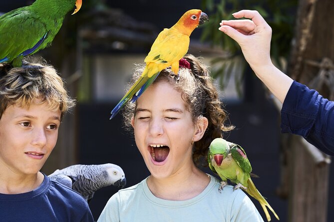 Maleny Botanic Gardens Bird Aviary Experience Ticket - Why the six kilometers of gardens matter