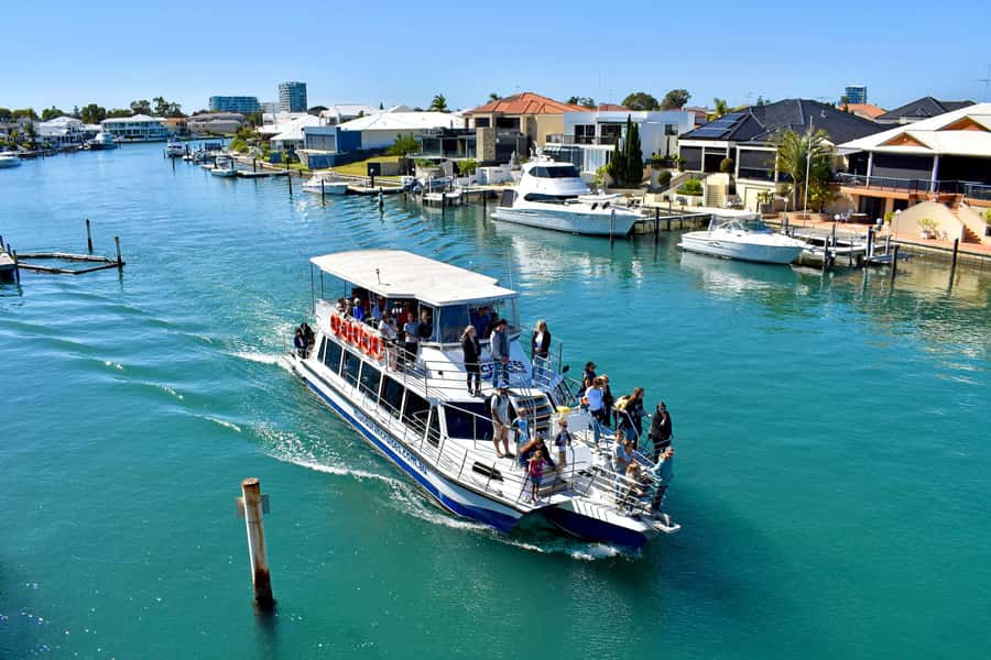 Mandurah: Dolphin and Views Cruise - Wetlands and Birdlife Beyond the Dolphins