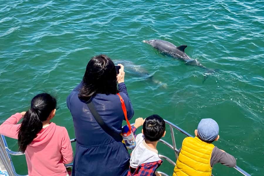 Mandurah: Dolphin and Views Cruise - Is $31 Good Value?