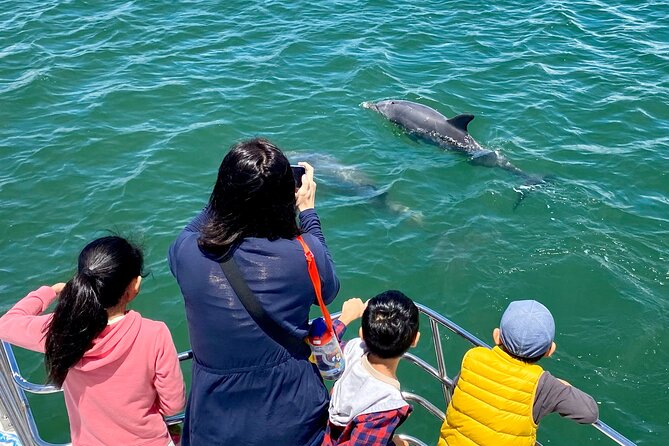 Mandurah Dolphin Cruise and Views - What the 75 minutes feel like onboard