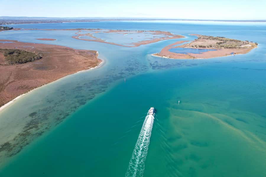 Mandurah: Dolphin & Giant Sightseeing Cruise - Why Seba’s Song gives this cruise a purpose