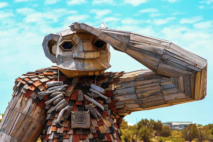 Mandurah: Dolphin & Giant Sightseeing Cruise - Wetlands, pelicans and ospreys along the route